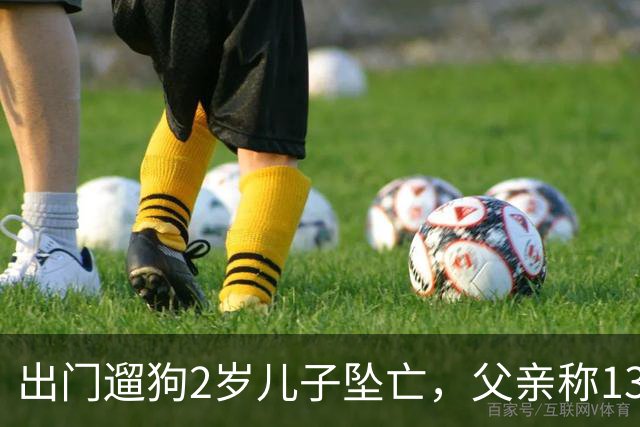 出门遛狗2岁儿子坠亡，父亲称13万丧葬费已对得起孩子，指责妻子带媒体去墓地是博流量；母亲含泪发声：儿子此前从未独自留在家中