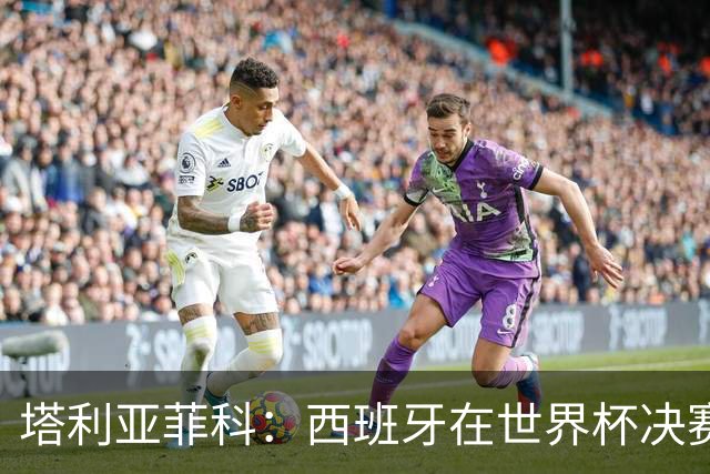 塔利亚菲科：西班牙在世界杯决赛上战术完胜我们