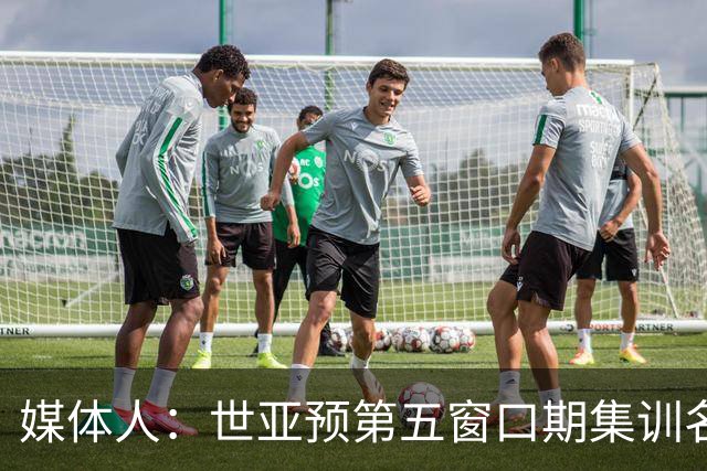 媒体人：世亚预第五窗口期集训名单已定，祝福他们