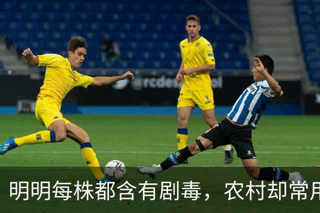 明明每株都含有剧毒，农村却常用来做腌菜，如今为何消失不见？