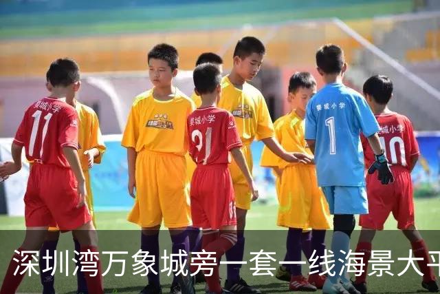 深圳湾万象城旁一套一线海景大平层拍卖，被人5827万竞得