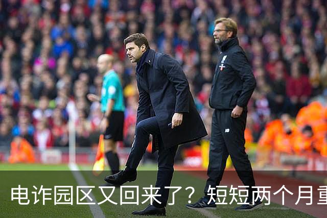 电诈园区又回来了？短短两个月重建3大园区，背后势力不容小觑