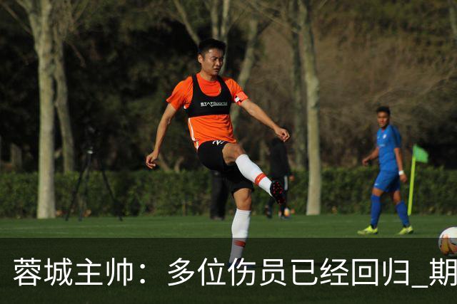 蓉城主帅：多位伤员已经回归 期待主场把这个冠军拿下