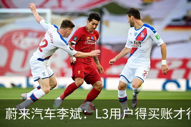 蔚来汽车李斌：L3用户得买账才行